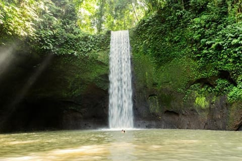 Bali: Private Ubud Tour with Optional Activities & Bali Spa - Image 2