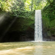Bali: Private Ubud Tour with Optional Activities & Bali Spa Bali: Private Ubud Tour with Optional Activities & Bali Spa