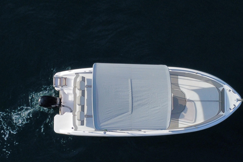 From Sorrento: Private Capri Tour Next 22 Up to 5 people