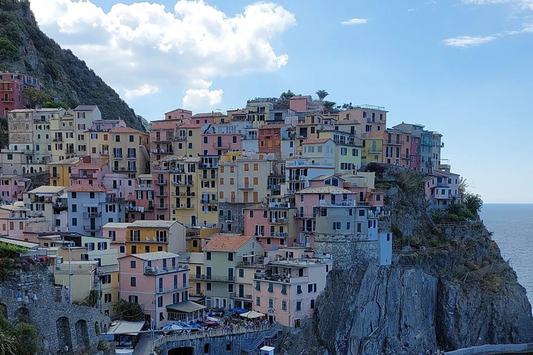 Da Firenze: Tour per piccoli gruppi di un giorno alle Cinque Terre e a Pisa