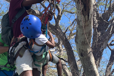 Tamarindo: Ziplining nella giungla costaricanaZiplining nella giungla costaricana