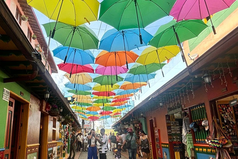 Tour Guatapé con visita a Granja de las Llamas y las Alpacas