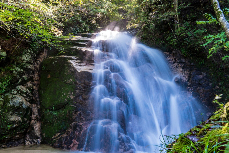 1-Day Tour from Nagoya: Hiking the Historic Nakasendo Trail