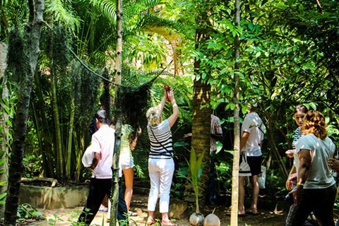 Ella To Arugam Bay Transfer with Temples & Waterfalls & More