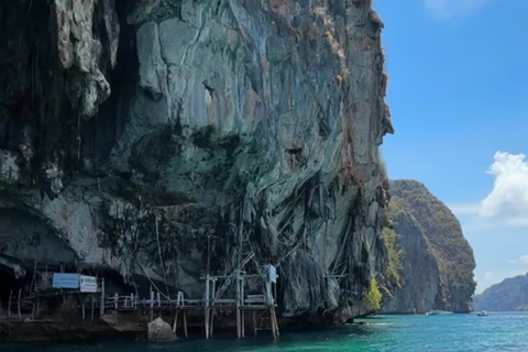 Phi Phi Islands: Shark Snorkeling Phi Phi Islands: PRIVATE VIP Shark Snorkeling - 4h