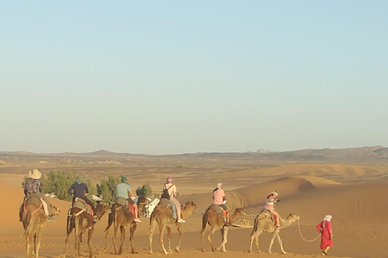 Marrakech to Fes 3 day Desert Tour Camel & luxury Tente Marrakech to Fes 3 day Desert Tour Standard Desert Tents