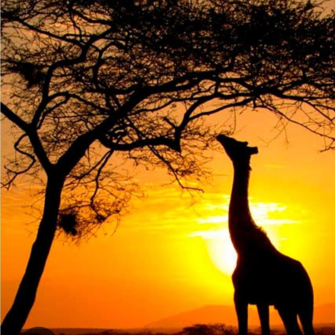 Untitled, image size:1080x1080