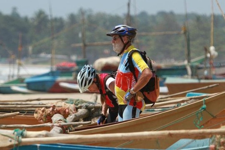 Discovering Negombo's Coastal Fishing Village