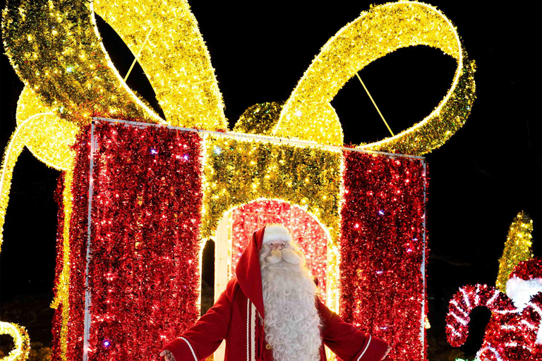 Arctic Fantasy Park Entry Ticket