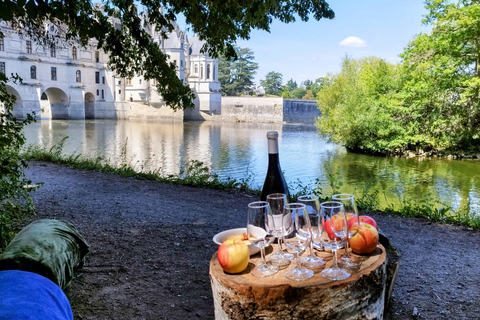 Chenonceau: giro guidato in ebike e pranzo al sacco con vino e formaggioDivertente tour in ebike a Chenonceau con degustazione di vini e formaggi