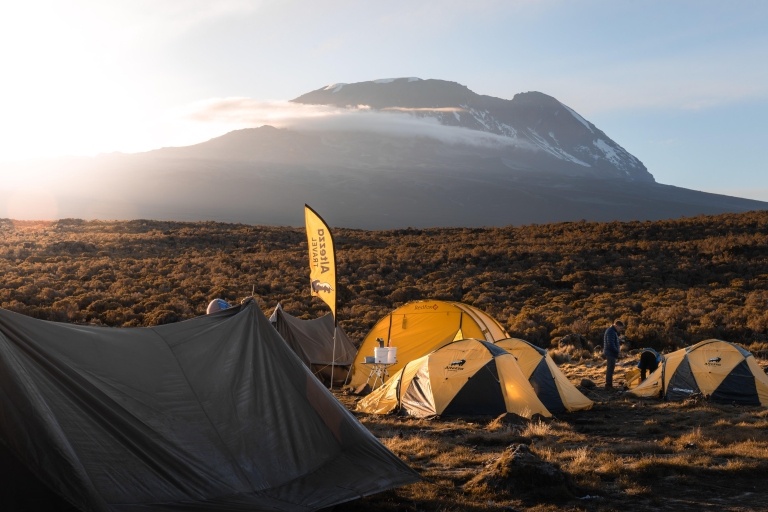 Kilimanjaro: 7-daagse Machame beklimming (+ 2 hotelovernachtingen)Kilimanjaro: 7-daagse Machame Klim (+2 hotelovernachtingen)