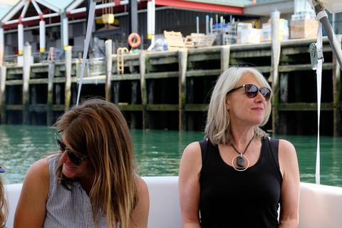 Portland: Maine Lighthouses Sightseeing Cruise with Drinks
