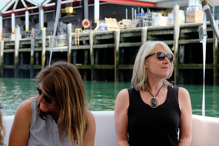 Portland: Maine Lighthouses Sightseeing Cruise with Drinks