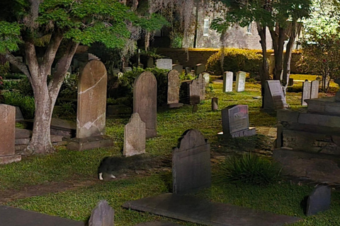 Charleston: Gullah Geechee Culture, Heritage & History Tour.