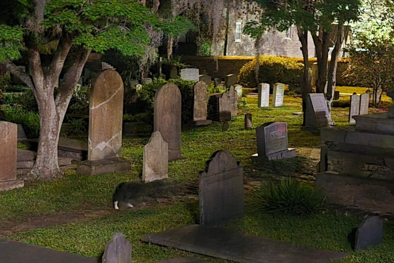 Charleston: Gullah Geechee Culture, Heritage & History Tour.