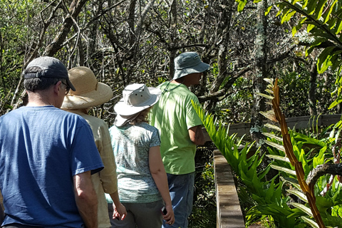 Desde Miami: Tour por los Everglades con tour en barco de 90 minutos