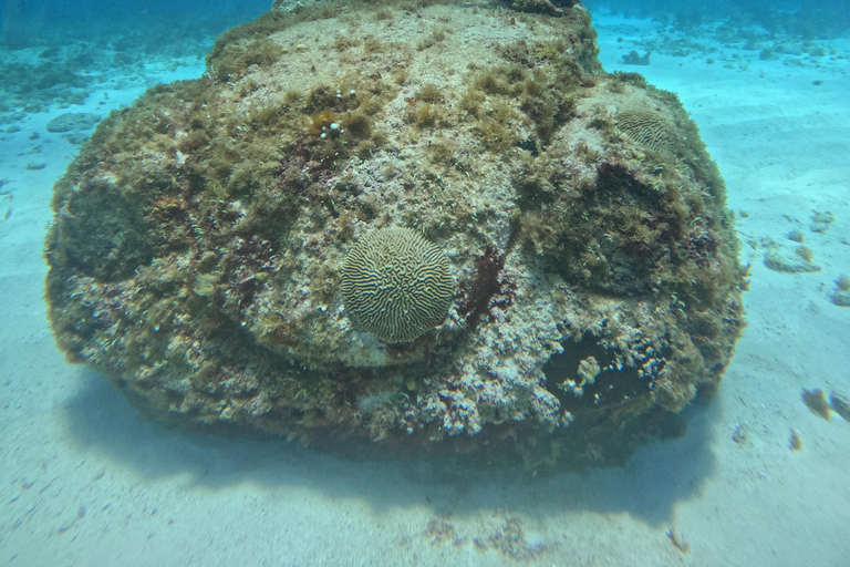 Isla Mujeres: Snorkel tour in 3 spots, Underwater Museum, and reefs! Isla Mujeres: Snorkeling tour in 3 spots, Underwater Museum and reefs!