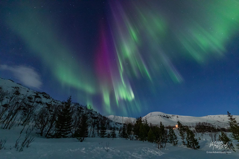 Au départ de Tromsø : Visite en bus des aurores boréales