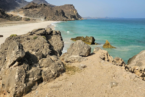 塞拉莱：乳香之路、骆驼农场和海滩之旅