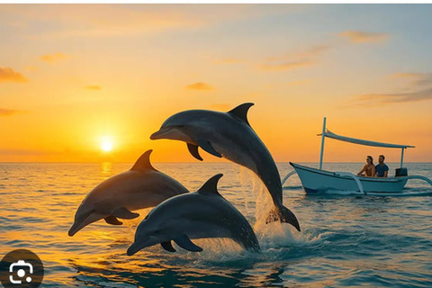 Bali: Lovina Dolphin Watching Boat Tour with Pickup