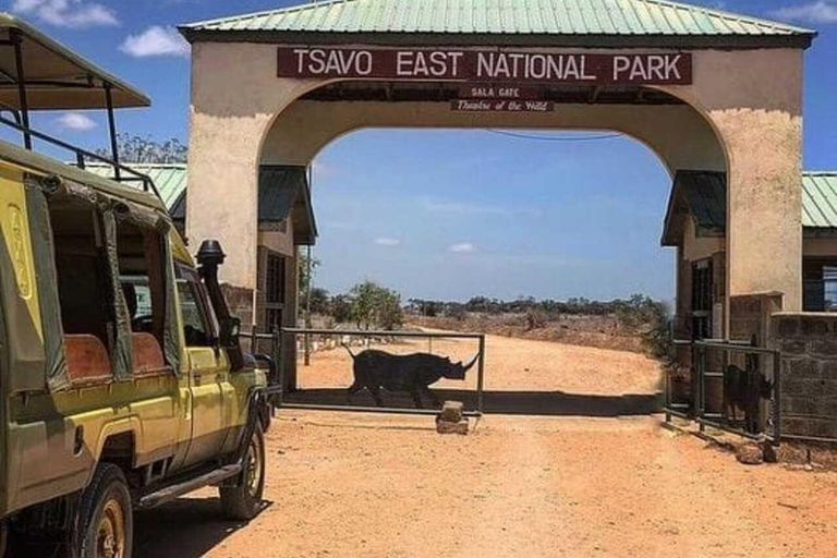 Nairobi: Amboseli & Tsavo East 2-Day Safari with Guide