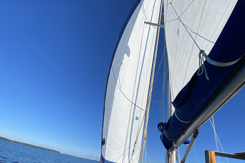 Turku Archipelago: 3-Hour Sailing Trip to Airisto with Sauna