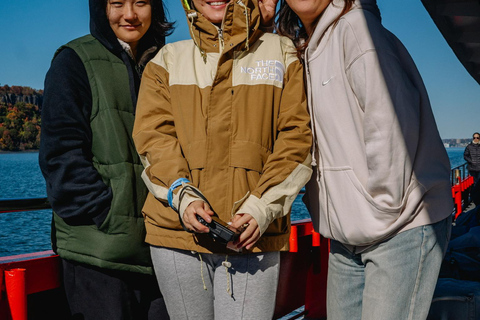 NYC Skyline &amp; Statue of Liberty Sightseeing Cruise90 minuten durende rondleiding