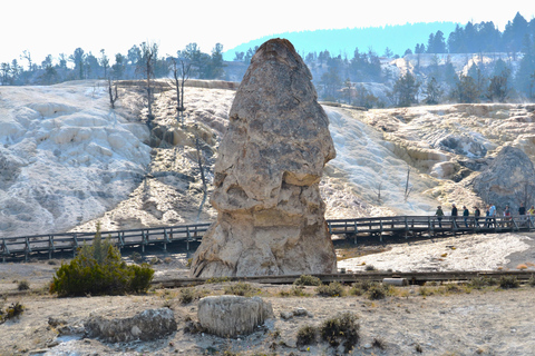 Yellowstone 2 Day Adventure - Upper and Lower Loop Tour