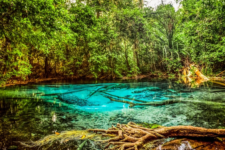 Krabi: Emerald Pool, Blue Lagoon en Tiger Cave Temple