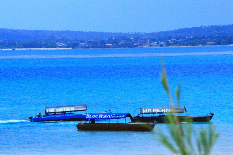 Sansibar private Tour:Schwimmen mit Delfinen &amp;Mnemba Schnorcheln