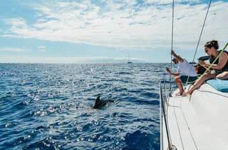 Tenerife: Osservazione di balene e delfini con bevande e snack