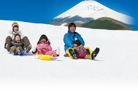 From Tokyo: Snow Experience at Mt.Fuji & Hakone Pirate Ship