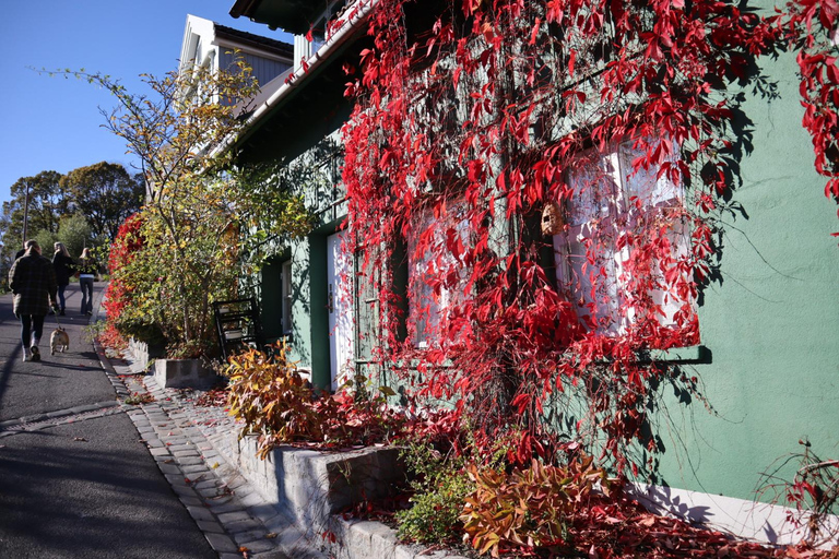 Oslo: Private Vintage Walking Tour with Photos Private Vintage Oslo Walk & Aesthetic Photos