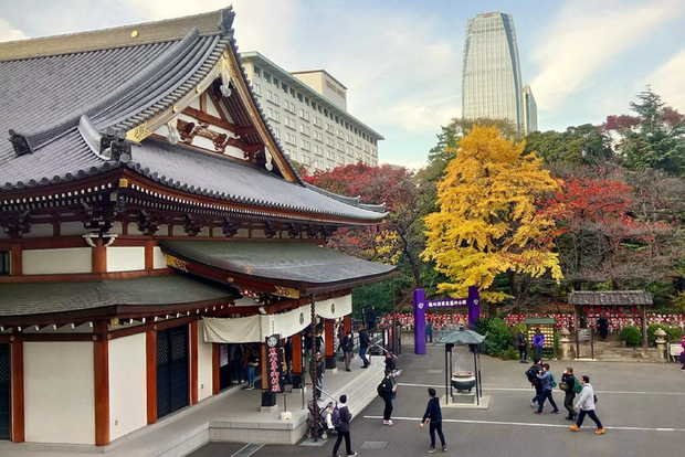 Tokyo : visite à pied de la tour de Tokyo, du parc Shiba et du temple Zojoji