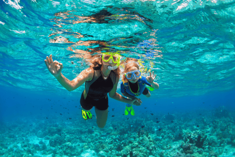 Rincon: Underwater Magic Snorkel Adventure