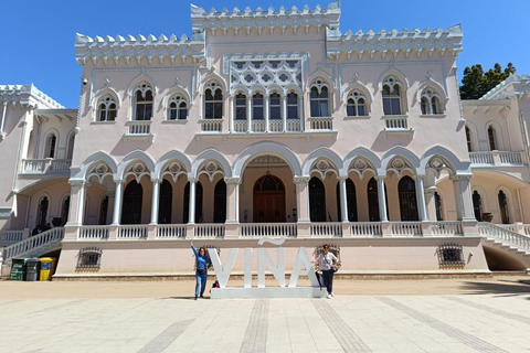 Viña del Mar: guided city tour