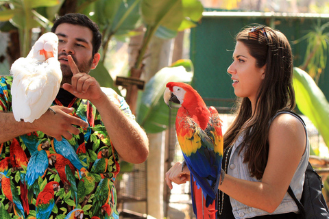 Puerto Plata: Ranch Tour with Monkeys Horseback ride & Buggy Puerto Plata: Hacienda Tour with Monkeys Horseback & Buggy