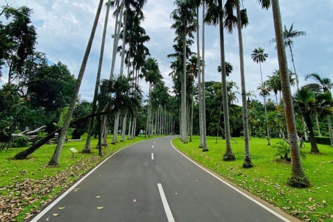 Yakarta: Jardín Botánico de Bogor, Manantiales de Montaña y Campo de ArrozYakarta: Cascada oculta, aldea local y jardín botánico