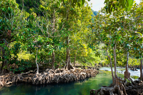 Ao Nang: Kajakpaddling i kristallpoolen, ATV och ananasodling45 minuters ATV-åkning