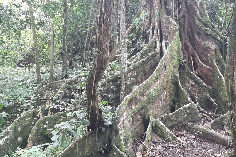 From Santa Marta: One day trek Bunkuany Archaeological site