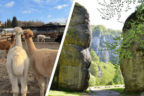 Krakow: Magical day with Alpacas, Castle & Sunset on Water