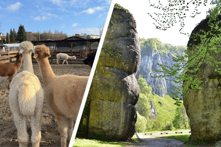 Krakow: Magical day with Alpacas, Castle & Sunset on Water