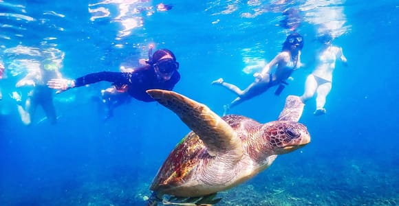 From Krabi: Surin Islands Snorkeling Tour w/ Meals