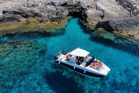 Taormina: Sunset Dolphin Tour by Catamaran with Aperitif