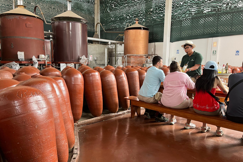 De Ica ou Huacachina: Pisco, vinho e buggy ao pôr do sol