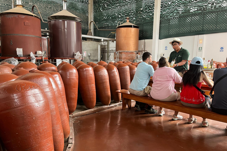 De Ica ou Huacachina: Pisco, vinho e buggy ao pôr do sol