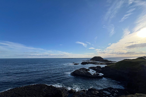 Melbourne: Excursão particular a Phillip Island com pinguins e muito mais