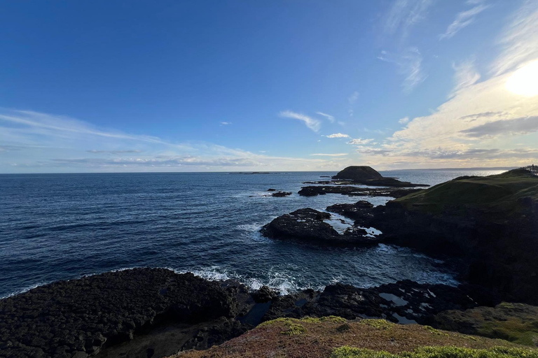 Melbourne: Excursão particular a Phillip Island com pinguins e muito mais