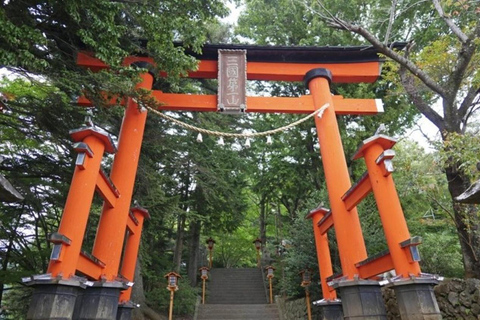 Fuji: kultur, skog och utsikt – privat skräddarsydd turFuji-kultur, skog och naturskön utsikt: Privat skräddarsydd tur