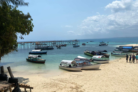Zanzibar : excursion d'une journée à l'île-prison et au marché alimentaire nocturne (visite nocturne)Visite privée sans prise en charge à l'hôtel et retour à l'hôtel